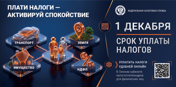 Напоминание УФНС о сроке уплаты налогов